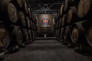 Taylor's Wine Cellar - Vila Nova de Gaia