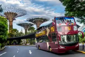 Singapore Combo Discover + Gardens by the Bay