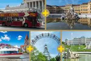 Vienna 5 Way Super Combo