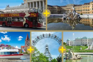 Vienna 5 Way Super Combo