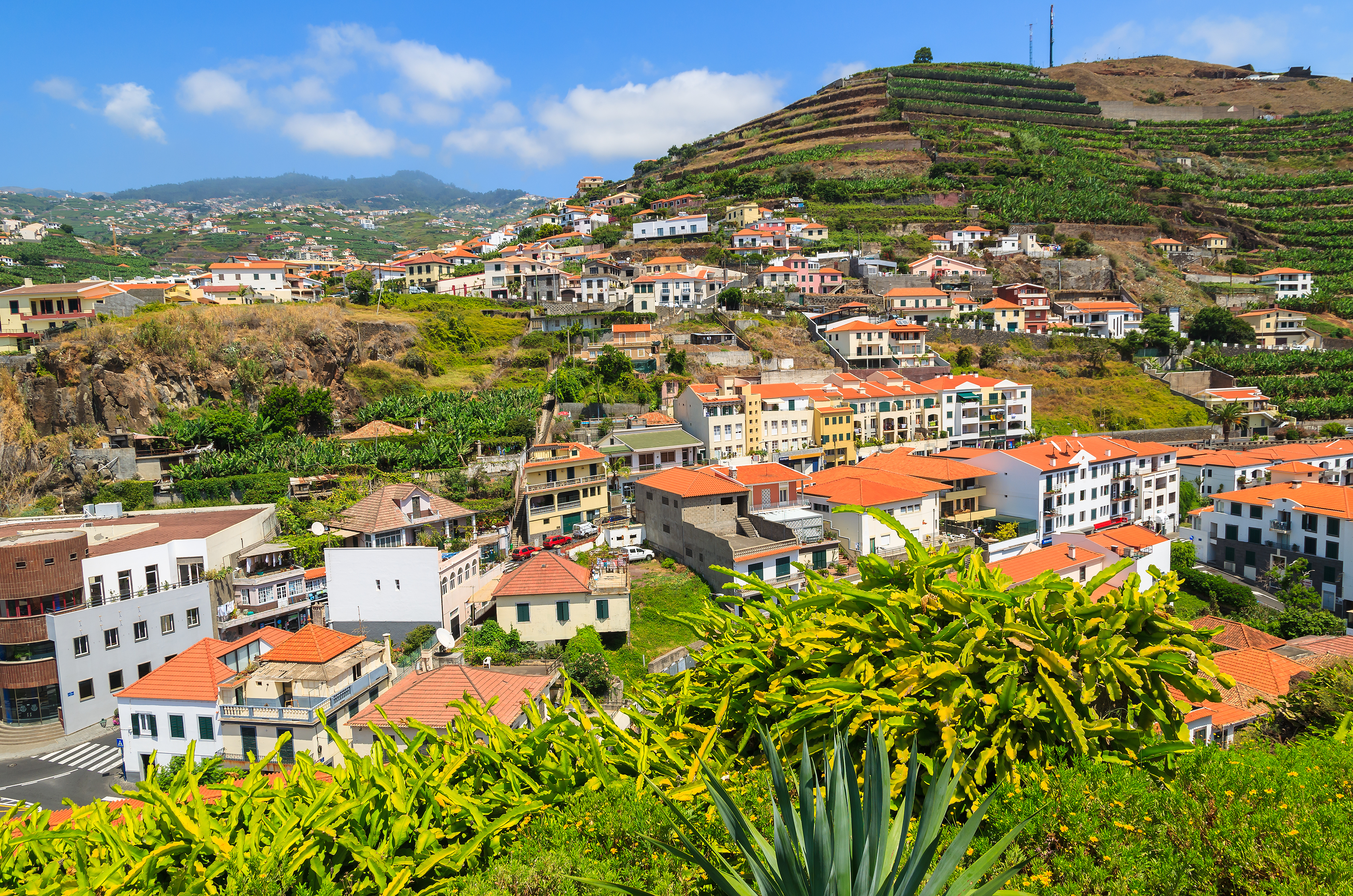 Funchal houses landscape