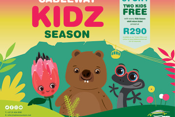 Kids Travel Free: Table Mountain and Red Bus