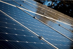 Recommendation: Going greener is the future
