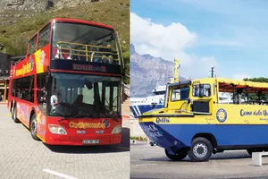 Land & Sea Explorer Combo