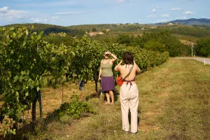 Semi-Private Chianti Wine Tour with Wineries and Tastings