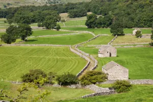 Full Day: Yorkshire Dales from York
