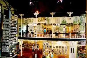District Six Museum