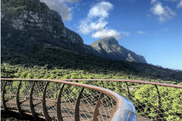 Recommendation: Free entry at Kirstenbosch National Botanical Garden: Tuesdays