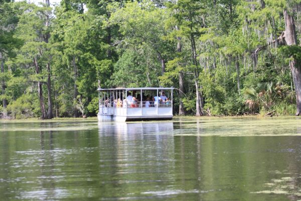 A guided Cajun Pride Swamp Tours