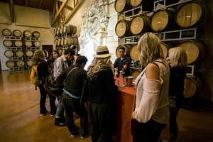 Wine Tastings