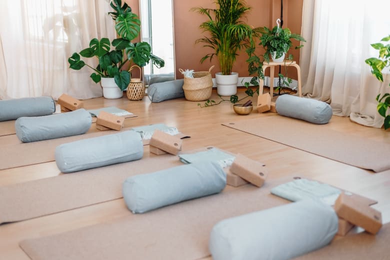 Dynamic Hatha Yoga with Teodora
