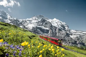 Jewels of the Alps (from Zurich)