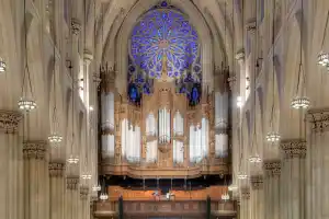 St Patrick's Cathedral  Tour - Gold Pass