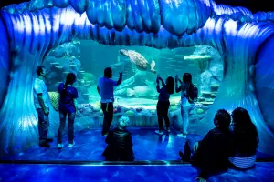 Sydney Sea Life Aquarium