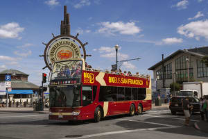 big bus