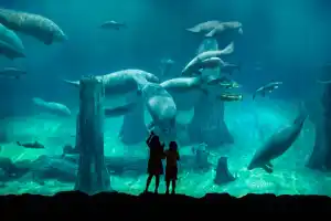 Singapore Combo River Wonders + City to Mandai Park One Way Transfer
