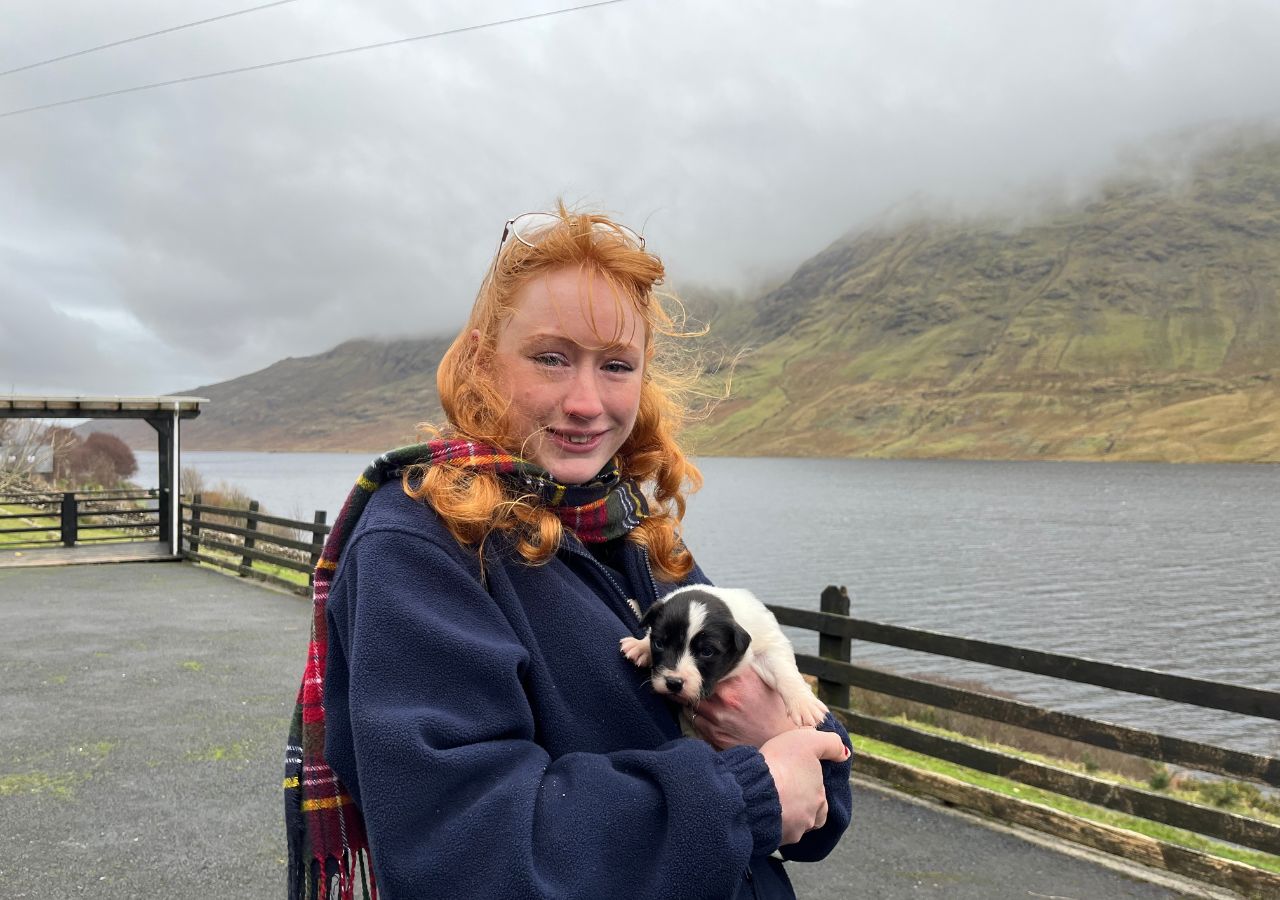 Tour del Connemara da Galway con Abbazia di Kylemore e dimostrazione di cani da pastore - Alloggi in Galway
