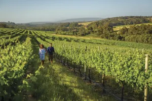 Perth & Margaret River