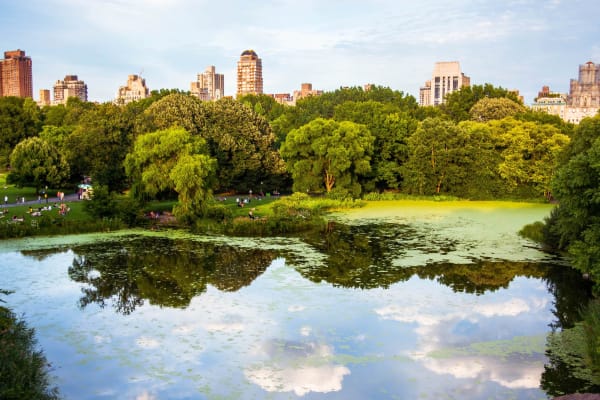 CENTRAL PARK BIKE TOUR