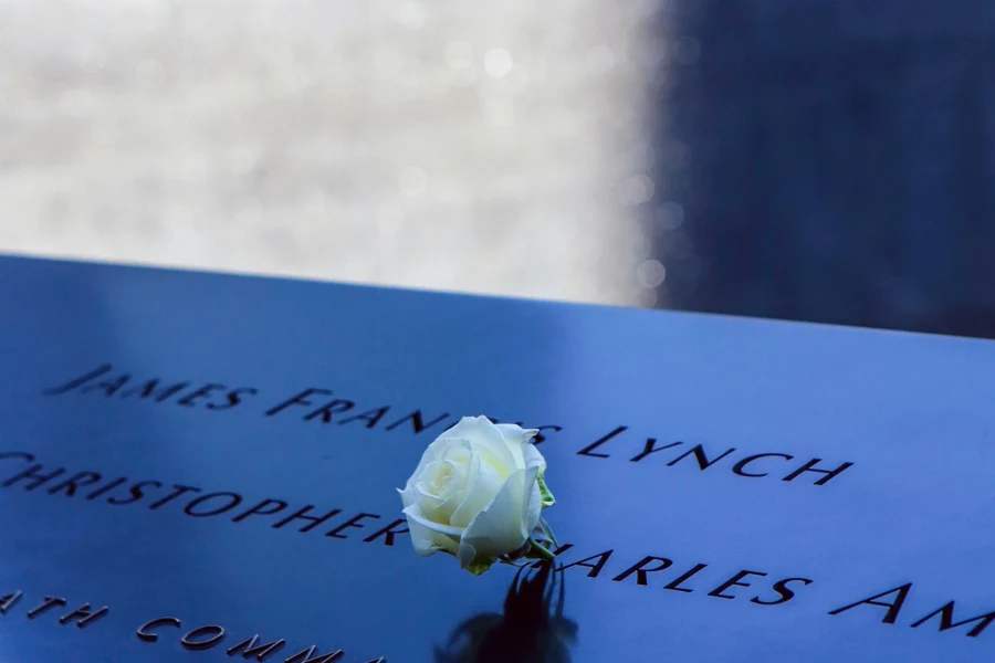 White rose on 9/11 Memorial during premium walking tour in NYC