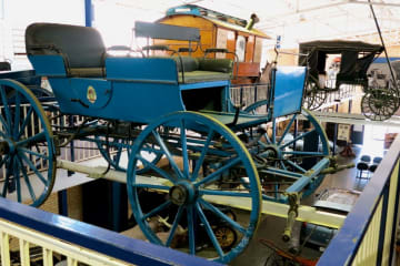 Cape Town stop of the month: the South African Museum