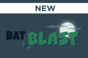 Bat Blast Experience
