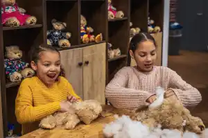 Teddy Workshop