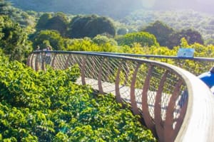 Kirstenbosch Gardens
