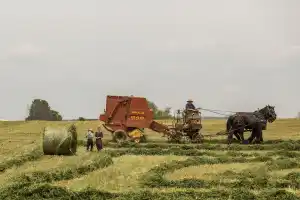 Philadelphia & Amish Day Tour