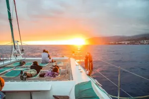Observação de Baleias e Golfinhos ao Pôr-do-sol