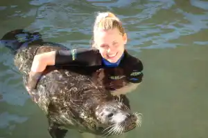 Seal Swim - low season