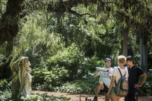 A break under the trees