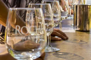 Half Day Wine Country Tour