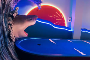 Sunset requin