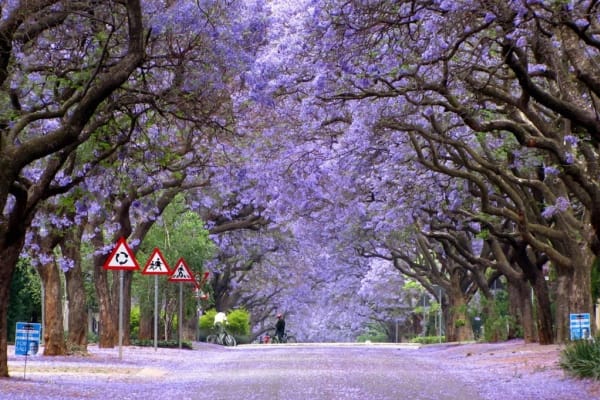 BUENOS AIRES PARKS BIKE TOUR