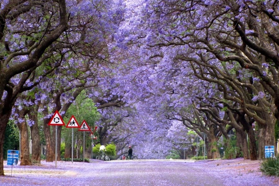 BUENOS AIRES PARKS BIKE TOUR