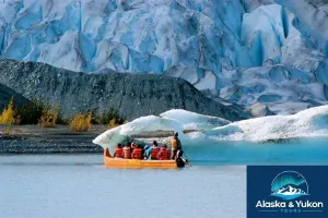 Glacier Point Wilderness Safari