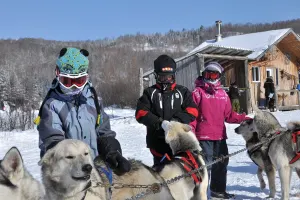 Bison & Sled-dog kennel visit 2-3h