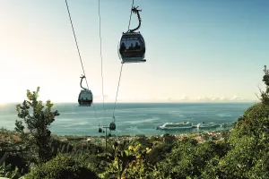 Funchal Sightseeing and Cable Car