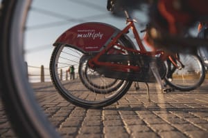 1h Bicycle Rental