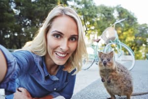 Quokka selfie?