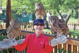 Recommendation: 5. Open your senses at the World of Birds