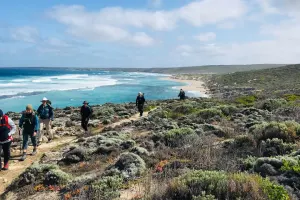 Daytrip: Kangaroo Island Wildlife Discovery-W1CC