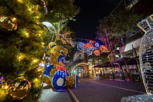 Sunset and Christmas lights Tour