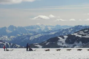 Dogsledding and Glacier Flight Seeing (Skagway)