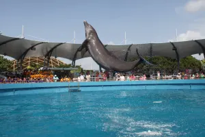 Miami Seaquarium - General admission