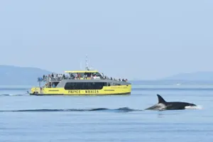 Vancouver Prince of Whales from Vancouver