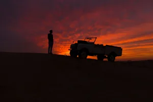 Private Night Safari & Astronomy