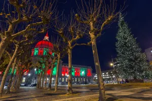 San Francisco Holiday Lights Tour