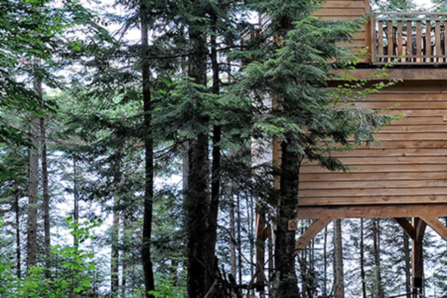 Tremblant Treehouses